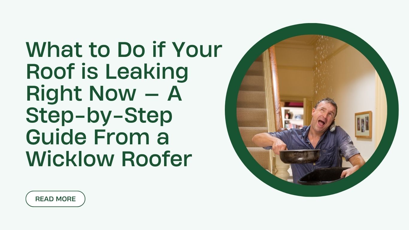 What to Do if Your Roof is Leaking Right Now — A Step-by-Step Guide From a Wicklow Roofer